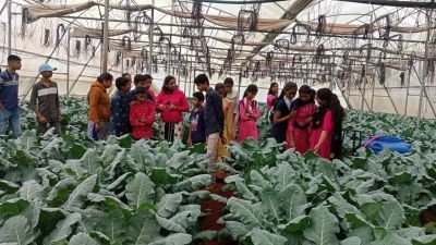 Nav Krishna Valley school Uttur studnets went for Field Visit