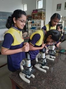 For Class VIIIA & VIIIB Science lab practical was conducted today to observe the microscopic organisms like Amoeba, Paramecium Spirogyra & bacteria present in root nodules.